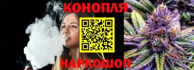 МДПВ Партизанск