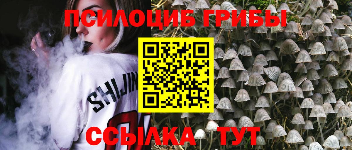 Галлюциногенные грибы Magic Shrooms Советск