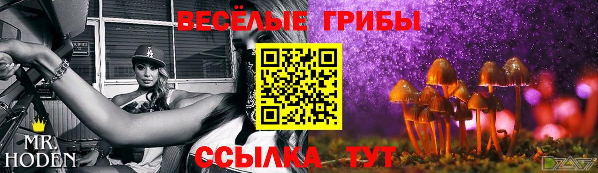 Советск  Галлюциногенные грибы ЛСД  Вход с VPN 